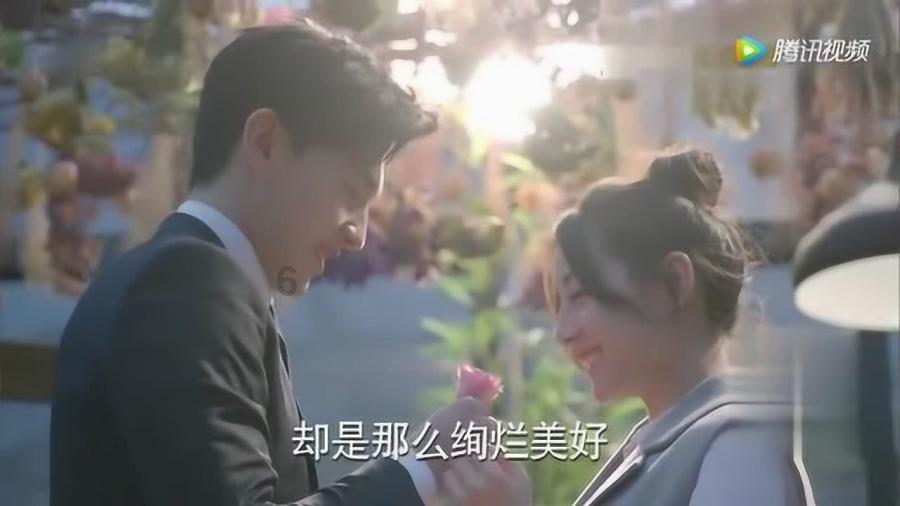 小猫钓鱼正版下载中文版